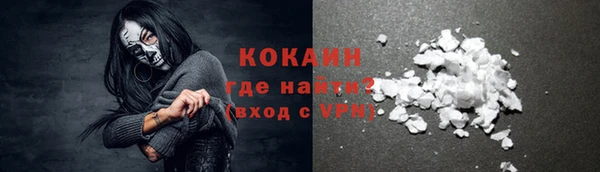 сатива Арсеньев
