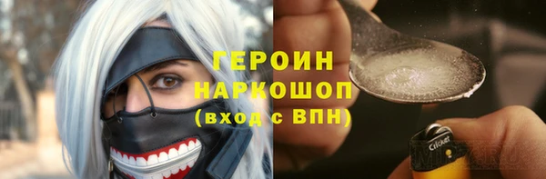 дживик Бородино