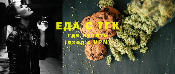 дживик Бородино