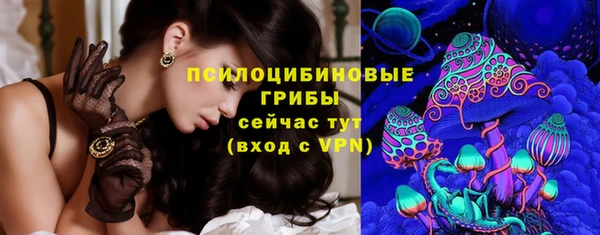 ПСИЛОЦИБИНОВЫЕ ГРИБЫ Армянск