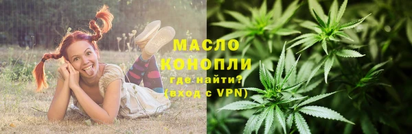 дживик Бородино